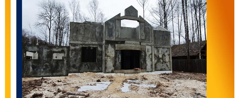 Проект БП-313